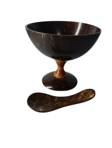 Coconut shell desert cup